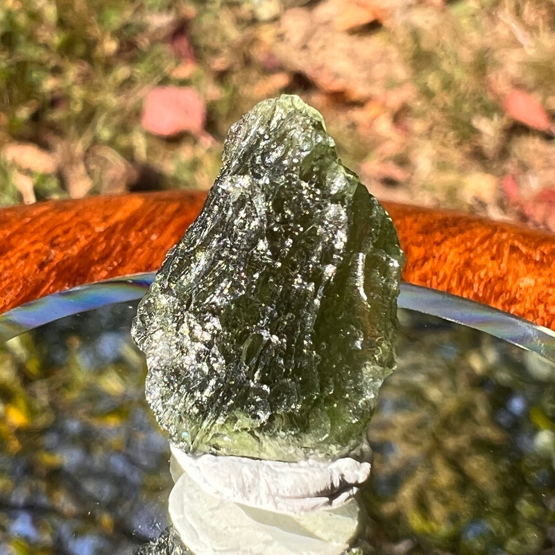 Moldavite 2 grams #1732-Moldavite Life