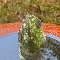 Moldavite 2 grams #1732-Moldavite Life