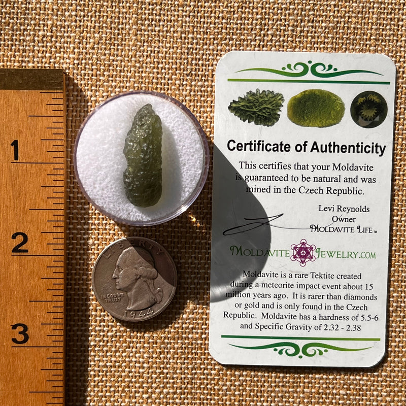 Moldavite 2 grams #2131-Moldavite Life