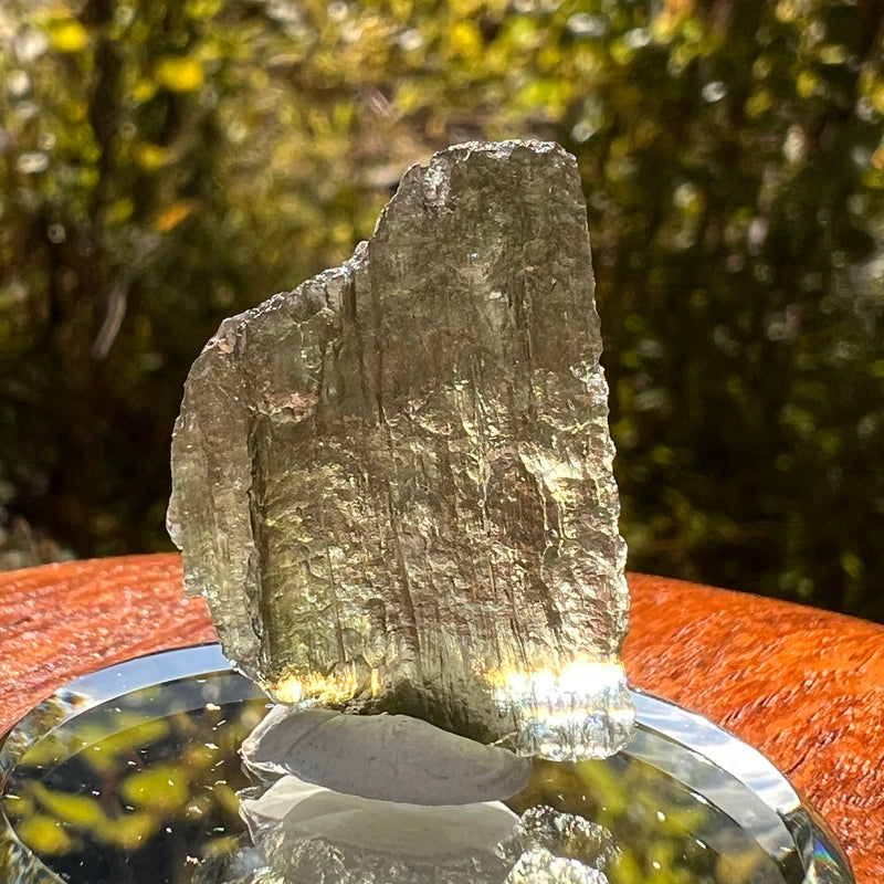 Moldavite 2 grams #2161-Moldavite Life