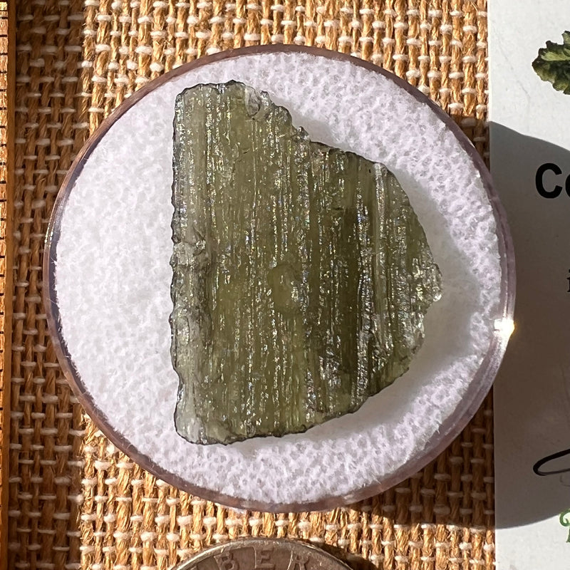 Moldavite 2 grams #2161-Moldavite Life