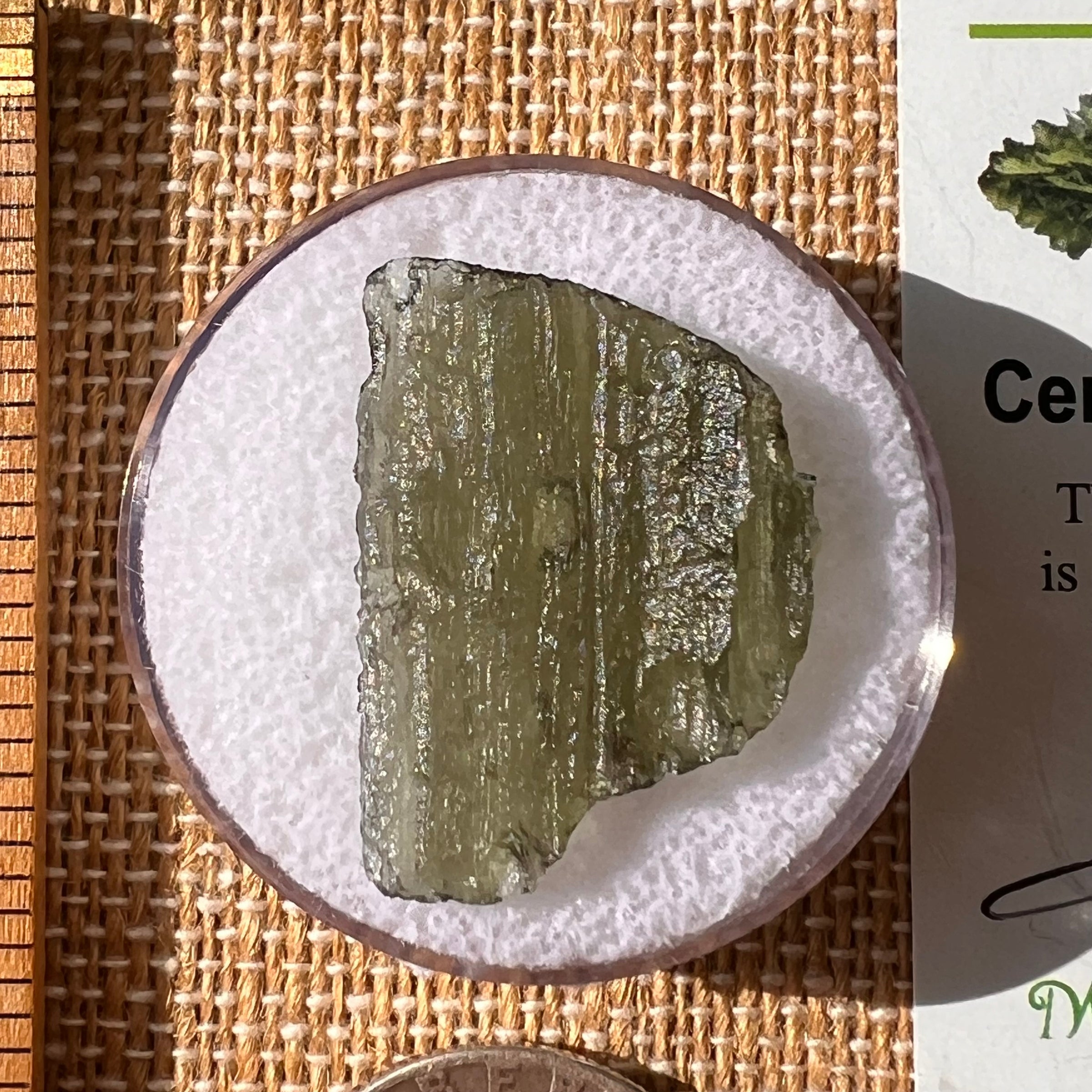 Moldavite 2 grams #2161-Moldavite Life