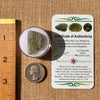 Moldavite 2 grams #2161-Moldavite Life