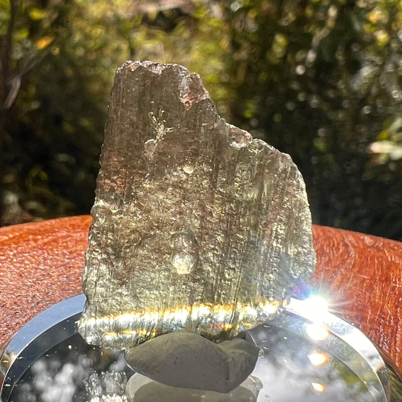Moldavite 2 grams #2161-Moldavite Life