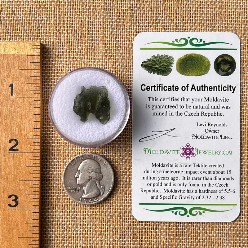 Moldavite 2 grams #2171-Moldavite Life