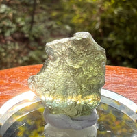 Moldavite 2 grams #2181-Moldavite Life