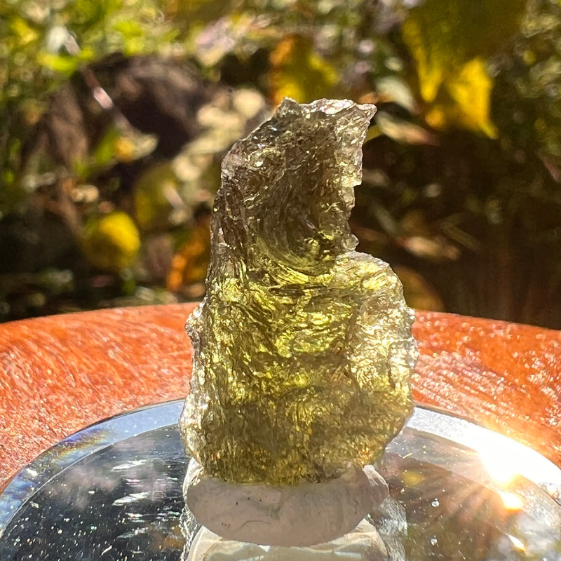 Moldavite 2 grams #2203-Moldavite Life