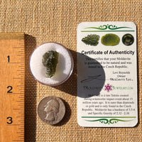 Moldavite 2 grams #2203-Moldavite Life