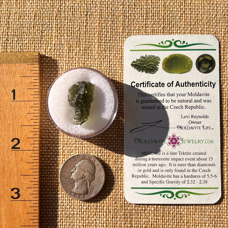 Moldavite 2 grams #2203-Moldavite Life