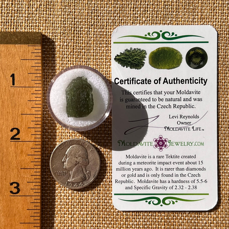 Moldavite 2 grams #2252-Moldavite Life