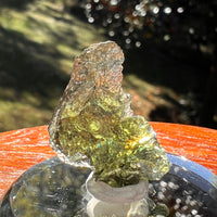 Moldavite 2 grams #2356-Moldavite Life