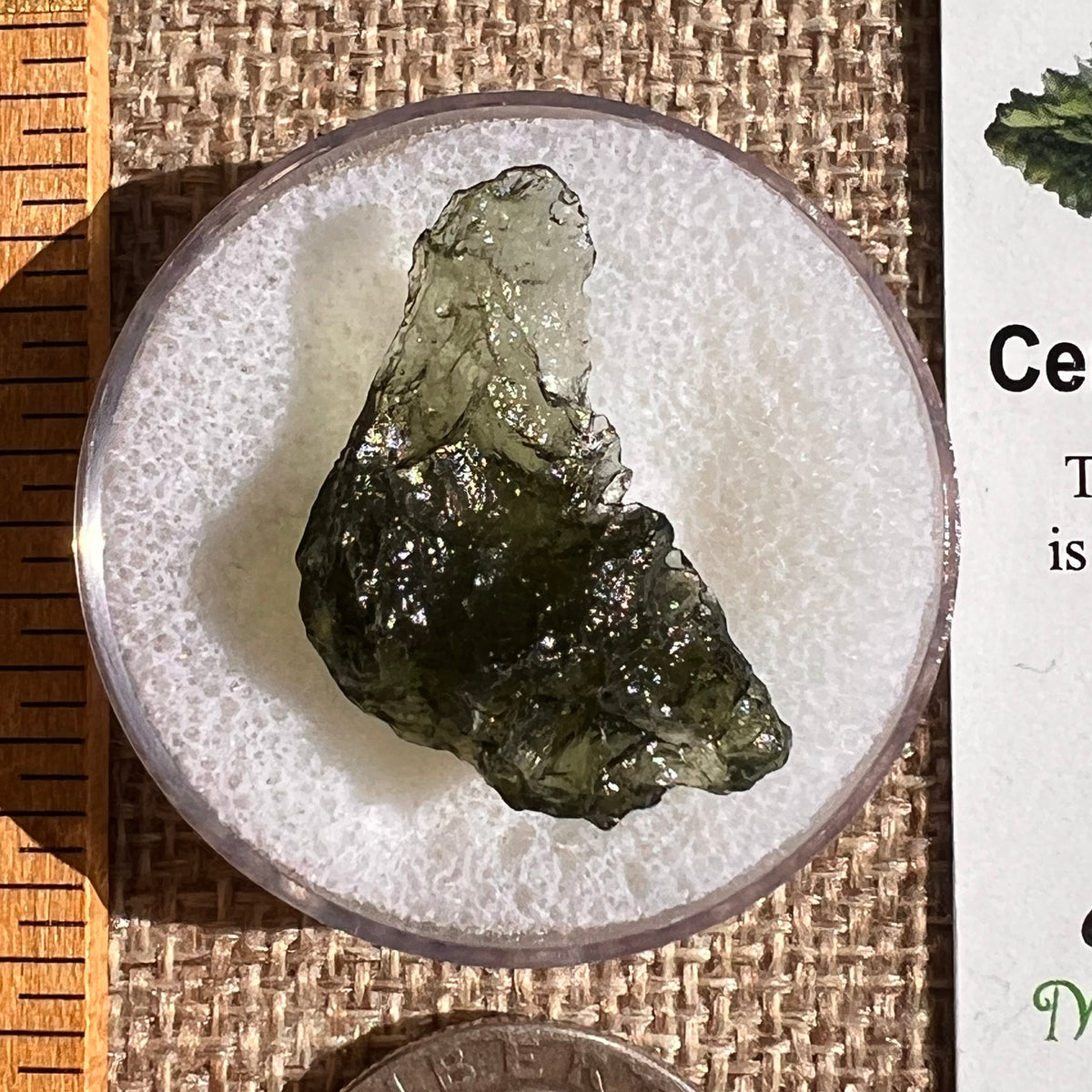Moldavite 2 grams #2356-Moldavite Life