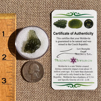 Moldavite 2 grams #2356-Moldavite Life