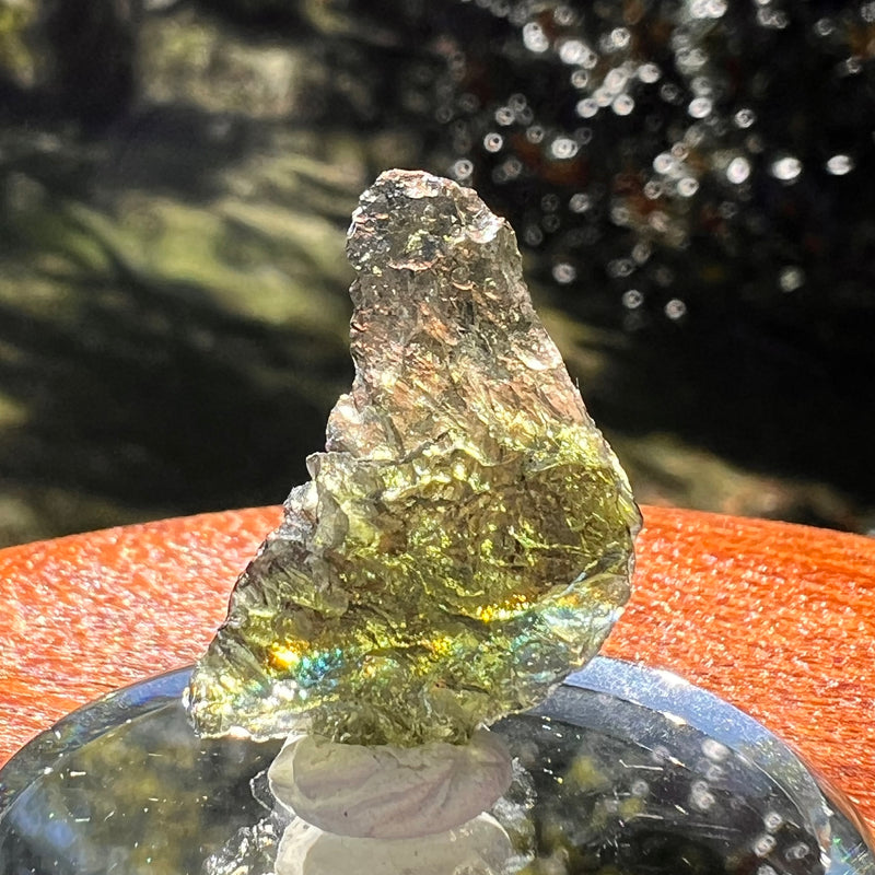 Moldavite 2 grams #2356-Moldavite Life