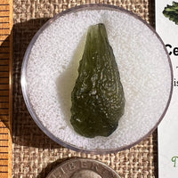 Moldavite 2 grams #2357-Moldavite Life