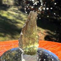 Moldavite 2 grams #2357-Moldavite Life