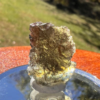 Moldavite 2 grams #2362-Moldavite Life