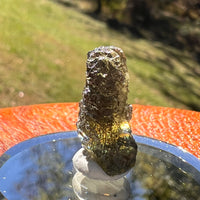 Moldavite 2 grams #2362-Moldavite Life