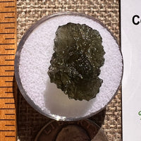 Moldavite 2 grams #2362-Moldavite Life
