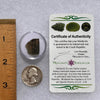 Moldavite 2.0 grams #1863-Moldavite Life