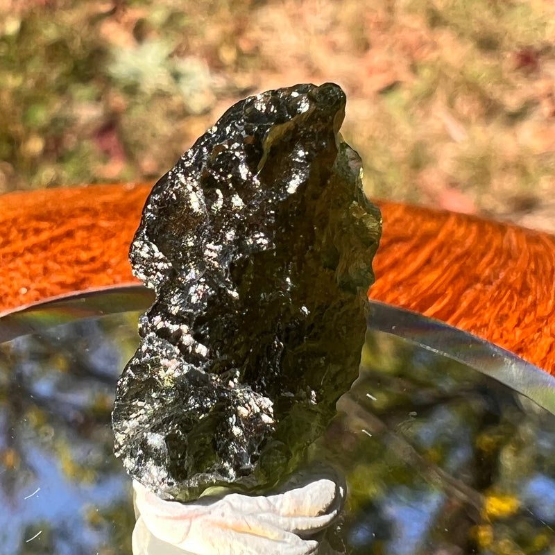 Moldavite 2.1 grams #1734-Moldavite Life