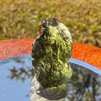 Moldavite 2.1 grams #1734-Moldavite Life