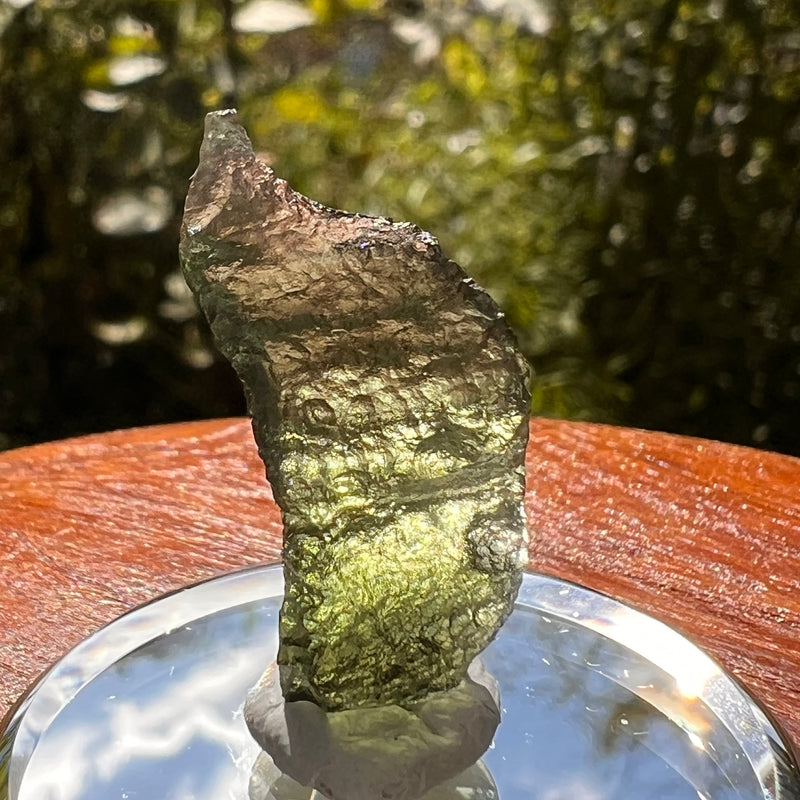 Moldavite 2.1 grams #2129-Moldavite Life