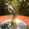 Moldavite 2.1 grams #2129-Moldavite Life