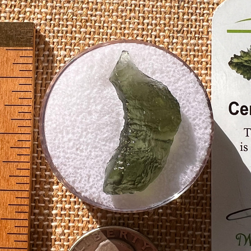 Moldavite 2.1 grams #2129-Moldavite Life