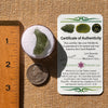Moldavite 2.1 grams #2129-Moldavite Life