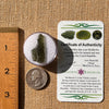 Moldavite 2.1 grams #2132-Moldavite Life