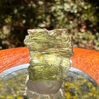 Moldavite 2.1 grams #2148-Moldavite Life