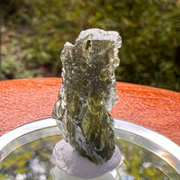 Moldavite 2.1 grams #2174-Moldavite Life