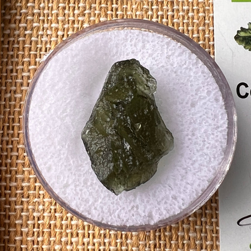 Moldavite 2.1 grams #2174-Moldavite Life