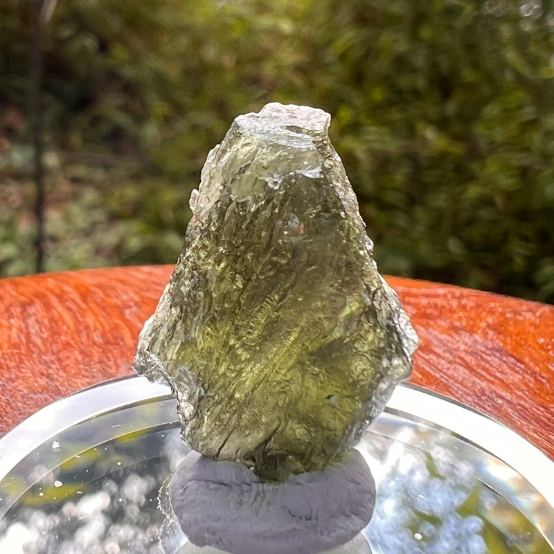 Moldavite 2.1 grams #2174-Moldavite Life