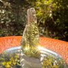Moldavite 2.1 grams #2186-Moldavite Life