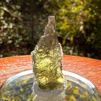 Moldavite 2.1 grams #2186-Moldavite Life