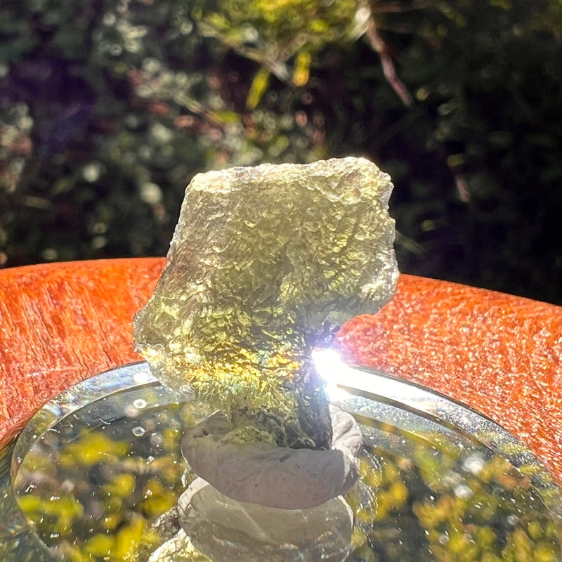 Moldavite 2.1 grams #2193-Moldavite Life