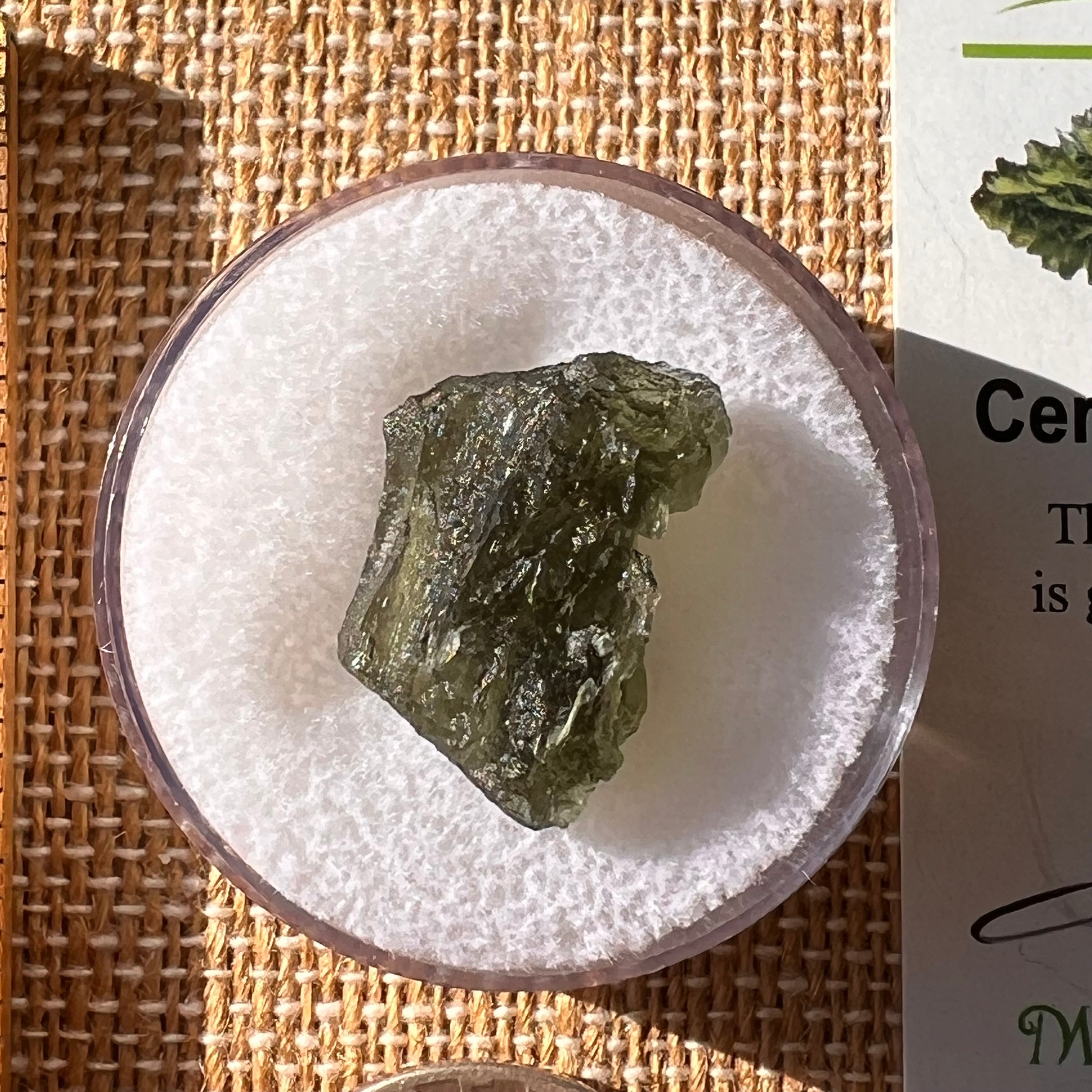 Moldavite 2.1 grams #2193-Moldavite Life