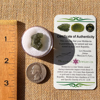 Moldavite 2.1 grams #2193-Moldavite Life