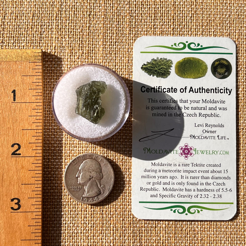 Moldavite 2.1 grams #2193-Moldavite Life