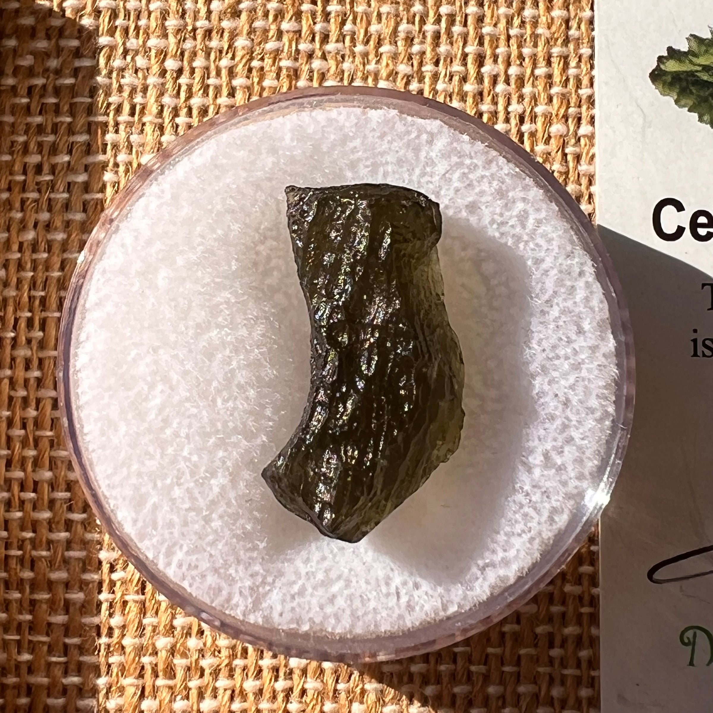 Moldavite 2.1 grams #2198-Moldavite Life