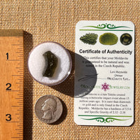 Moldavite 2.1 grams #2198-Moldavite Life