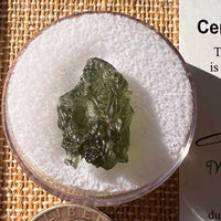 Moldavite 2.1 grams #2199-Moldavite Life