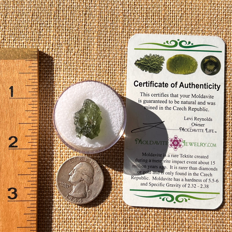 Moldavite 2.1 grams #2199-Moldavite Life