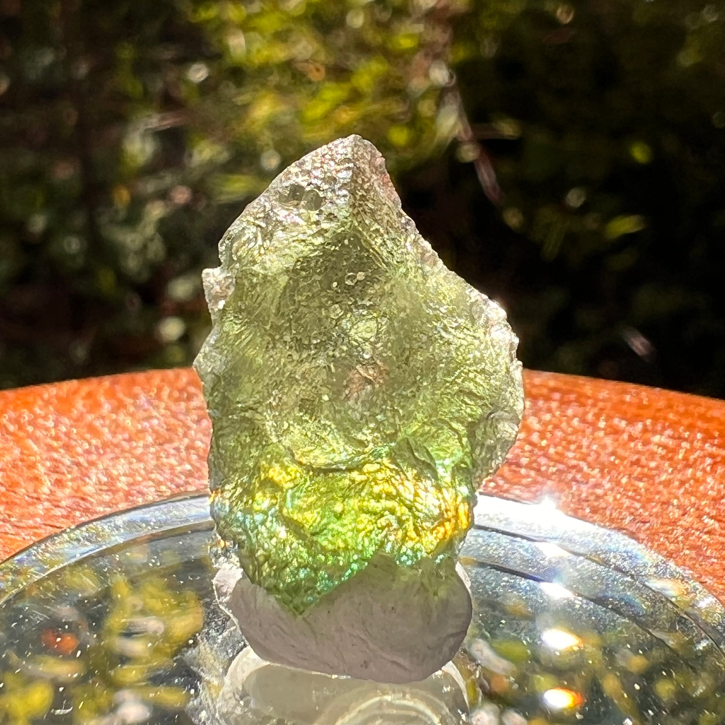 Moldavite 2.1 grams #2199-Moldavite Life