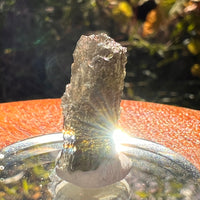 Moldavite 2.1 grams #2207-Moldavite Life