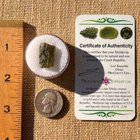 Moldavite 2.1 grams #2207-Moldavite Life