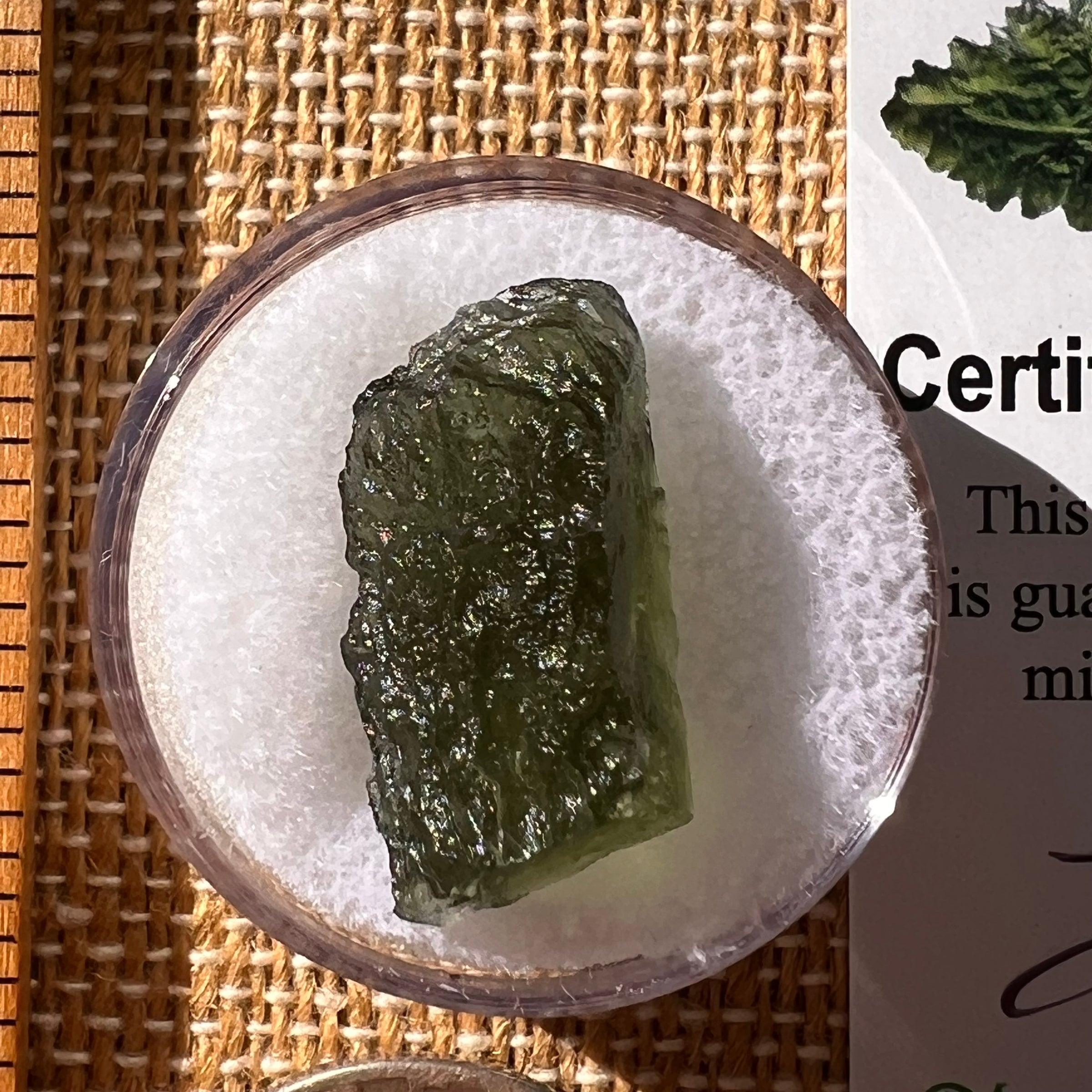 Moldavite 2.1 grams #2249-Moldavite Life