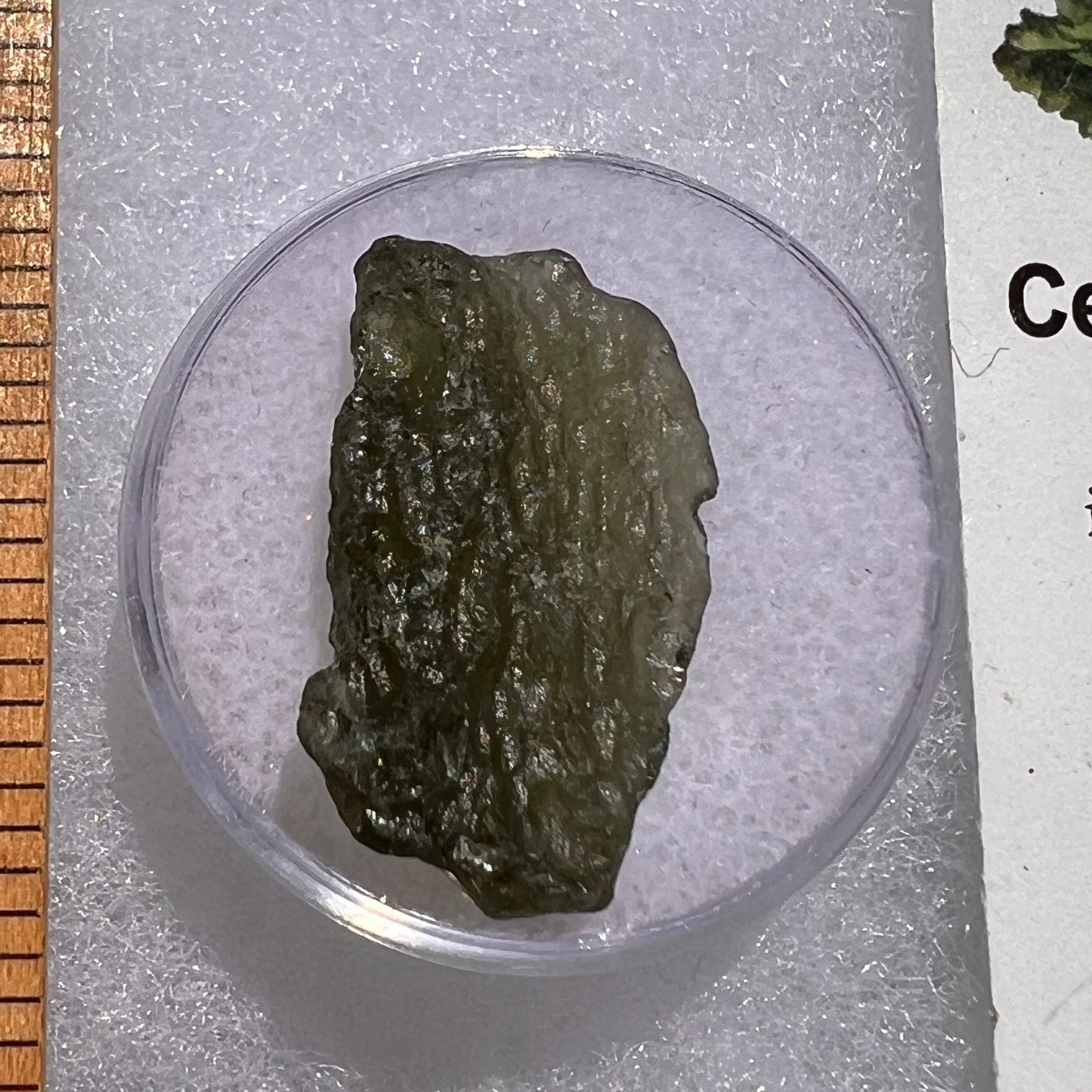 Moldavite 2.2 grams #1870-Moldavite Life